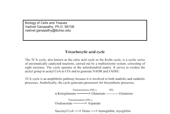 write scientific articles and research content